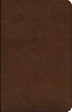 9781433577932 Concise Study Bible