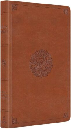 9781433598302 Large Print Thinline Bible