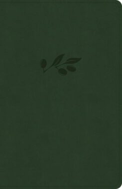 9798384525349 Personal Size Giant Print Bible