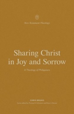 9781433575273 Sharing Christ In Joy And Sorrow
