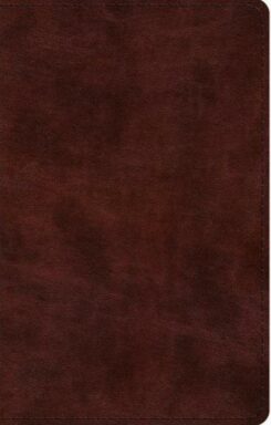 9781433575891 Large Print Thinline Bible