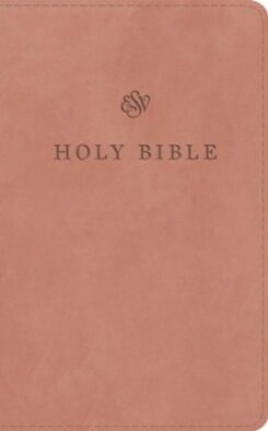 9798874900441 Premium Church Bible Large Print