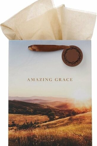 1220000328686 Large Portrait Inspirational Faith-inspired Gift Bag