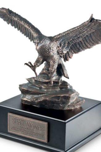 667665203544 Soaring Eagle