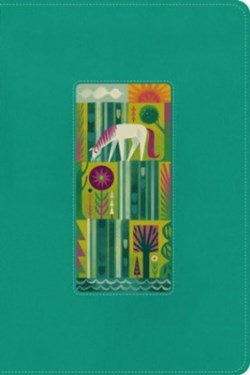 9798874902520 Biggest Story Holy Bible For Kids