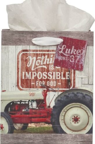 1220000323919 Medium Portrait Inspirational Scripture Gift Bag