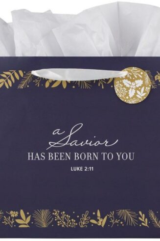 1220000327009 Large Landscape Inspirational Christmas Gift Bag