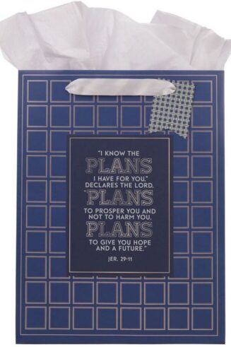 1220000328693 Large Portrait Inspirational Scripture Gift Bag