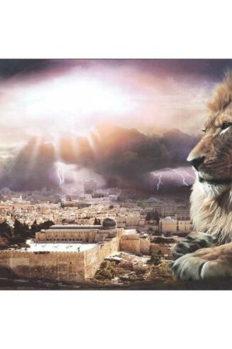 603799564823 I Am Plock (Plaque)