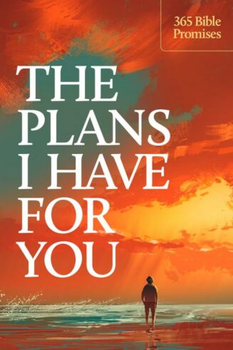 9798400506185 Plans I Have For You